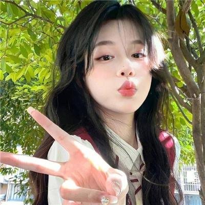 龙公主的冒险