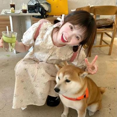 老虎的故事
