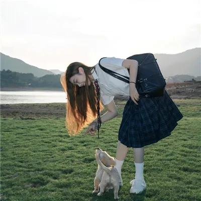 黄色大象